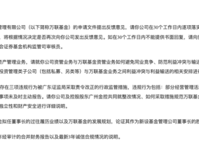 券商纷纷谋求公募牌照，万联、东莞证券申请设立公募基金获反馈|界面新闻